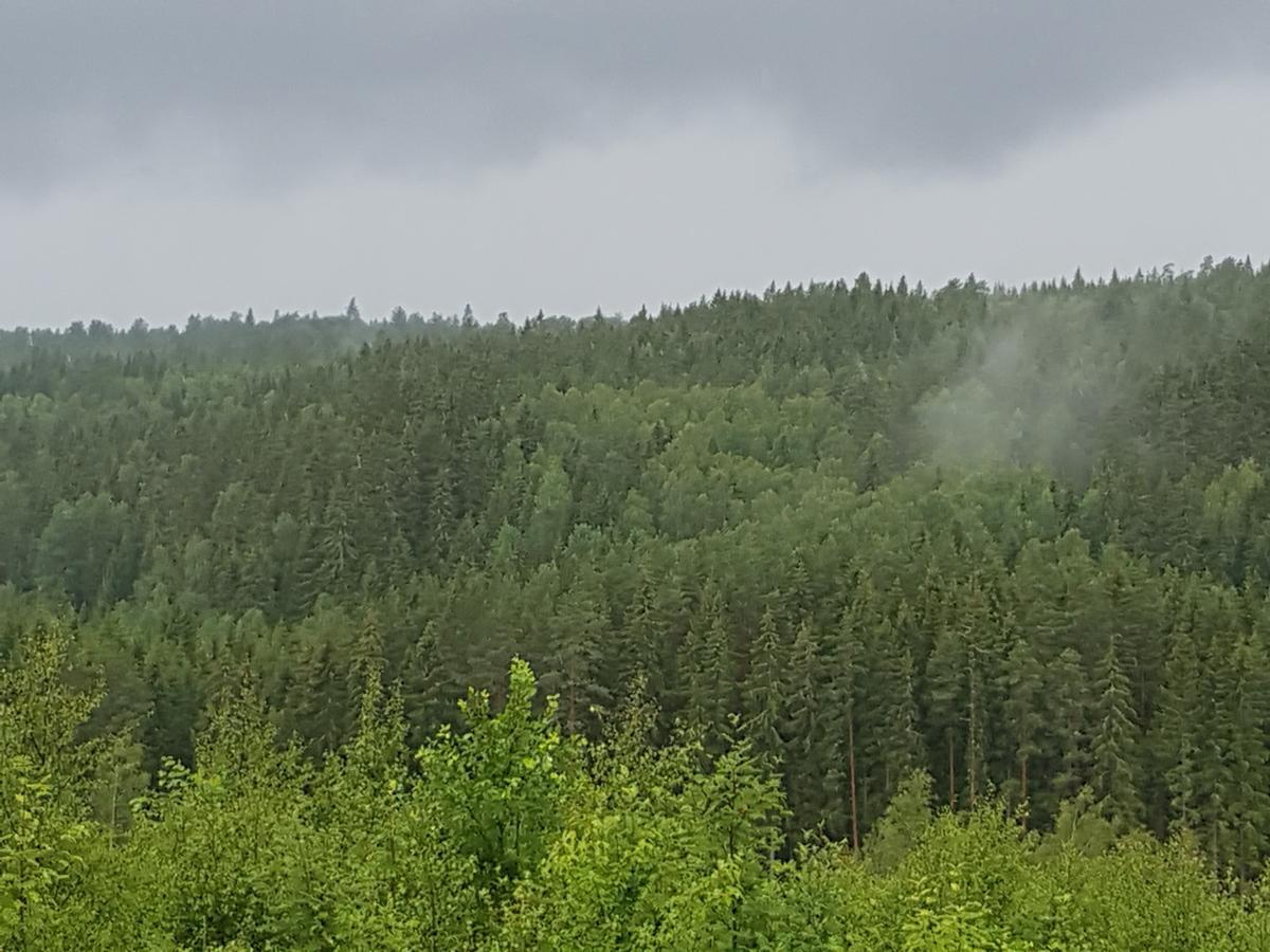 Tranas Vandrarhem Exteriér fotografie