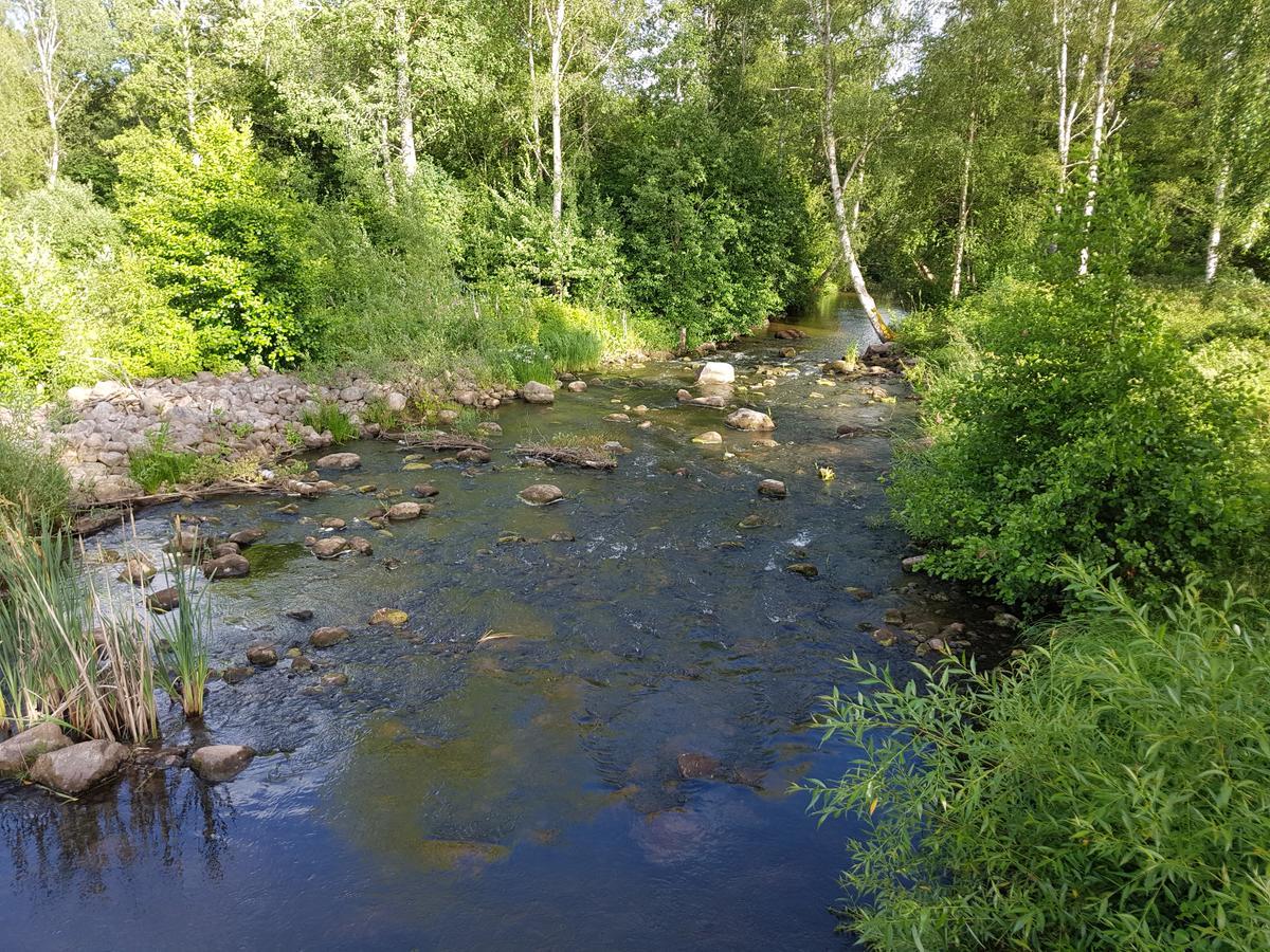 Tranas Vandrarhem Exteriér fotografie